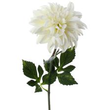 WHITE DAHLIA FLOWER 77CM - 592-132126