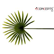 HOJA VERDE DECOR 69CM - 592-142312