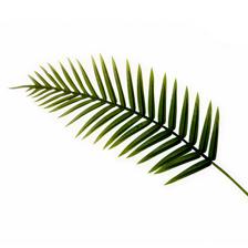 ARTIFICIAL FERN PALM LEAF - 592-142314