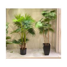 PLANTA C/ POTE 95X60X95 - 592-142639
