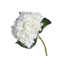 FLOR DE HORTÊNSIA BRANCA DIA 21X2 - 592-142746