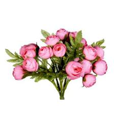 Rose bush x 8 - 592-142812