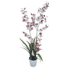 FLOR ORQUÍDEA BRANCA/FÚCSIA - 592-143131