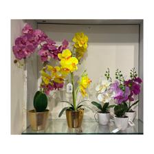 FLOR ORQUIDEA FUCSIA C/POTE 40 - 592-143136