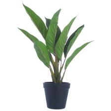 PLANTA DE ARTE C/VASO - 592-143156