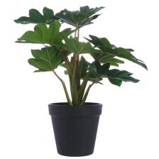 29cm Real touch philodendron x11 lvs in plastic pot(Pot siz - 592-143160