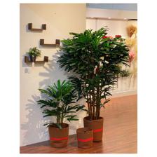 PLANTA ART C/POTE - 592-143167