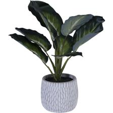 PLANTA C/VASO 30X30X36CM - 592-143203