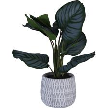 PLANTA C/POTE 35X32X39CM - 592-143206