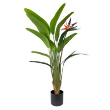 120cm Real touch strelitzia x2 & 12 lvs with flower in pot - 592-143391