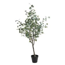 PLANTA COM VASO - 592-143421