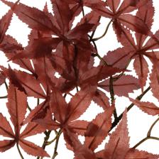 108cm Single  maple Leaf - 592-1434373