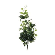 Anti-ultraviolet80cm Real touch white-green pothos hanging b - 592-1434381