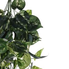 Anti-ultraviolet80cm Real touch white-green pothos hanging b - 592-1434381