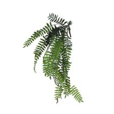 FOLHAS PENDURADAS - 592-1434422