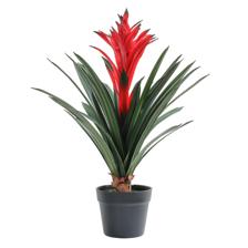 Bromelia c/pote - 592-1434457
