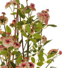 ROSAS C/POTE 40X33X88CM - 592-1434465
