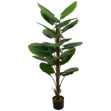 PLATA C/POTE - 592-143449