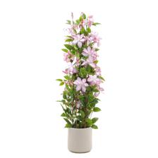 130CM REAL TOUCH CLEMATIS TREEIN PLASTIC POT - 592-1434490