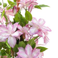 130CM REAL TOUCH CLEMATIS TREEIN PLASTIC POT - 592-1434490