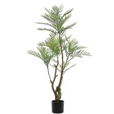 Jacaranda c/pote - 592-1434496