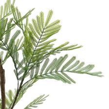 Jacaranda c/pote - 592-1434496