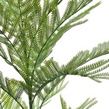 Jacaranda c/pote - 592-1434496