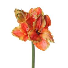 AMARILIS 0X0X83 - 592-1434558
