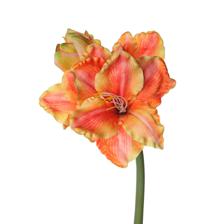 AMARILIS 0X0X83 - 592-1434558