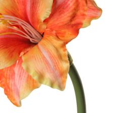 AMARILIS 0X0X83 - 592-1434558
