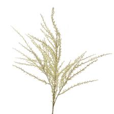 100CM SINGLE CANADA GOLDENRODSTEM - 592-1434565
