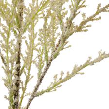 100CM SINGLE CANADA GOLDENRODSTEM - 592-1434565