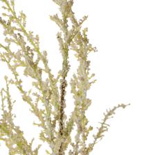 100CM SINGLE CANADA GOLDENRODSTEM - 592-1434565