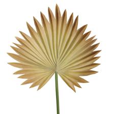 66CM PU SINGLE PALM LEAF - 592-1434571