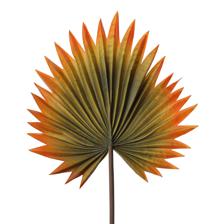 Hoja decor - 592-1434572