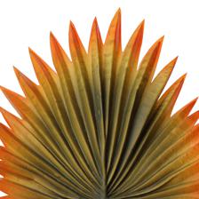 Hoja decor - 592-1434572