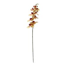 ORQUÍDEA 0X17.5X91 - 592-1434587
