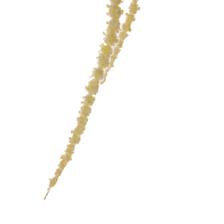 Amaranto colgante - 592-1434611