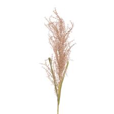 115CM SINGLE SNAPDRAGON - 592-1434662