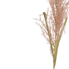 115CM SINGLE SNAPDRAGON - 592-1434662