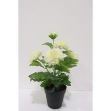 CRISANTEMO 25X25X40CM - 592-1434692