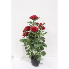 ROSA 45X40X65CM - 592-1434693