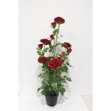 ROSA 45X45X95CM - 592-1434696