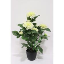 DALIA 45X45X62CM - 592-1434698