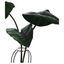 PLANTA COM VASO - 592-143475