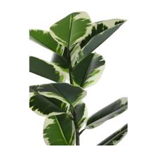 PLANTA COM VASO - 592-143540