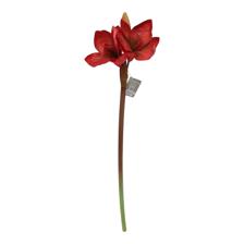 AMARILIS C/POTE - 592-143617