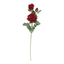 ROSA DECOR - 592-143618