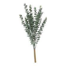 EUCALIPTO DECOR - 592-143669