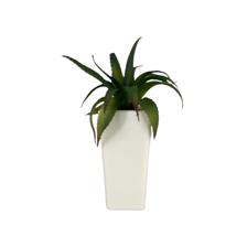 PLANTA C/POTE 12X12X23CM - 592-301399